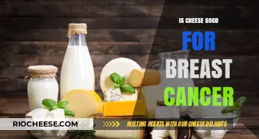 Exploring the Relationship Between Cheese Consumption and Breast Cancer Risk
