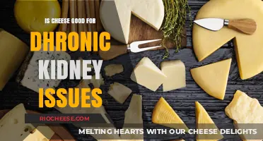 Exploring the Relationship Between Cheese and Chronic Kidney Health