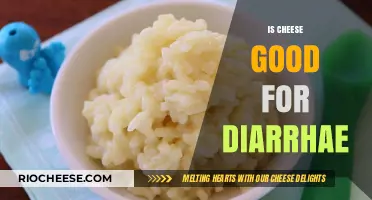 Exploring the Effects of Cheese on Diarrhea: A Comprehensive Guide