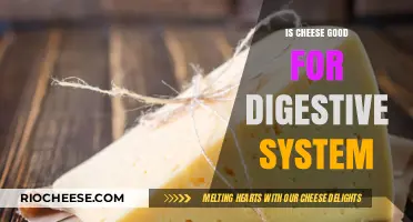The Surprising Truth About Cheese and Your Digestive Health
