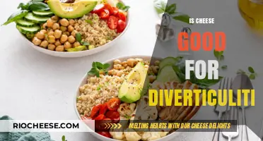 Exploring the Relationship Between Cheese and Diverticulitis: A Comprehensive Guide