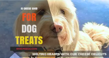 Canine Nutrition: The Surprising Truth About Cheese as a Dog Treat