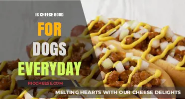 Can Dogs Enjoy Cheese Daily? A Comprehensive Guide for Pet Owners