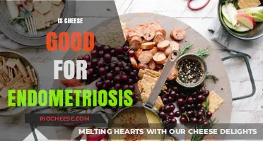 Exploring the Impact of Cheese on Endometriosis: A Nutritional Insight