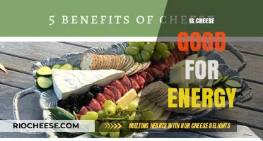 Fuel Your Day: The Surprising Energy Benefits of Cheese