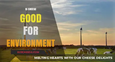 Sustainable Dairy: The Environmental Impact of Cheese Production