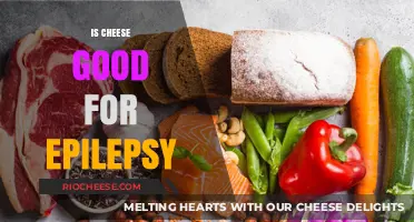 Exploring the Relationship Between Cheese and Epilepsy: A Nutritional Perspective