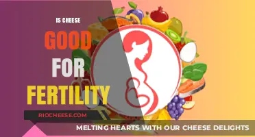 Dairy Delight or Fertility Foe: The Cheese Conundrum Explored