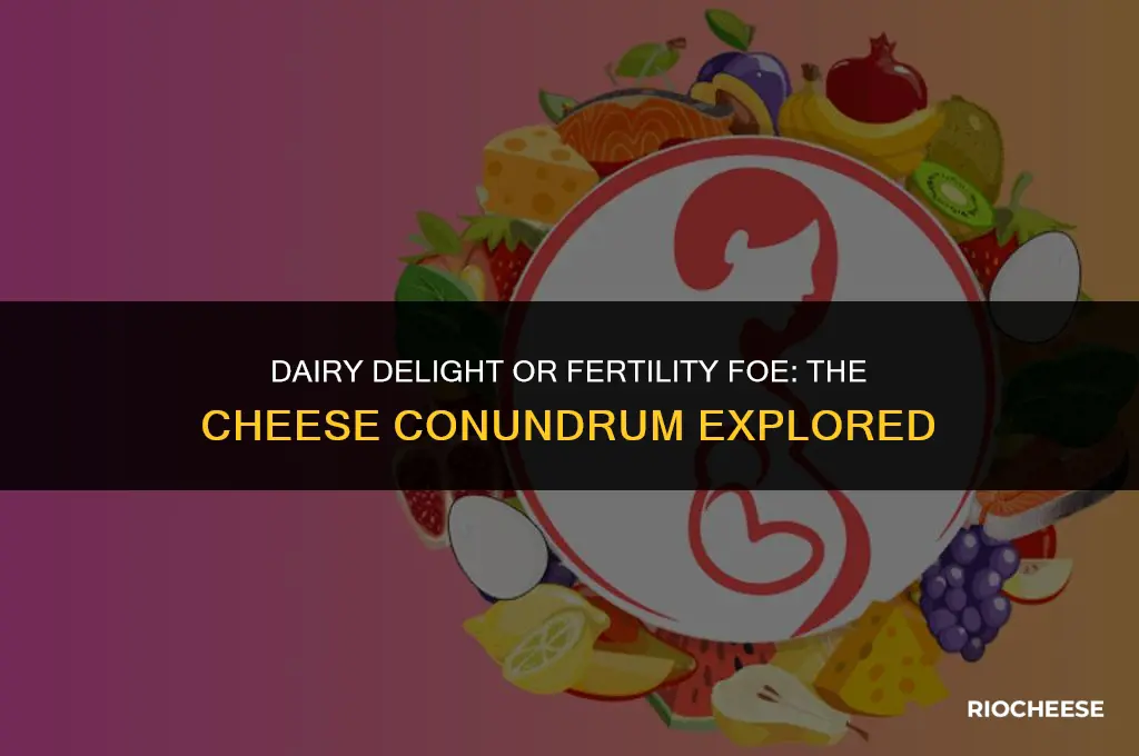 is cheese good for fertility