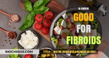 Exploring the Link Between Cheese Consumption and Fibroid Health