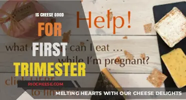 Nutrition in Pregnancy: Is Cheese Safe for the First Trimester?