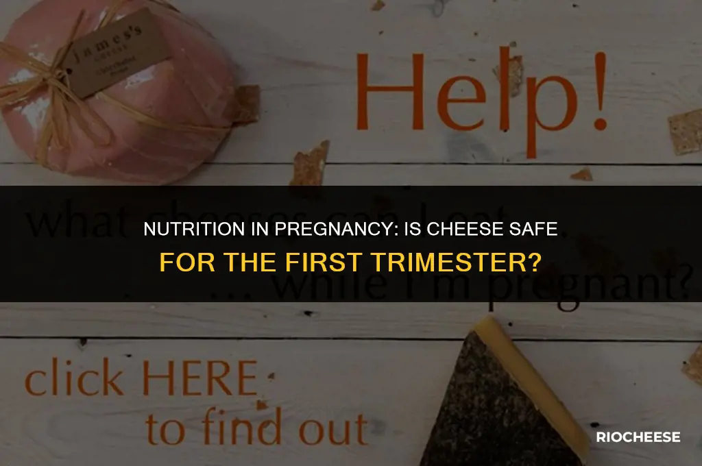 is cheese good for first trimester