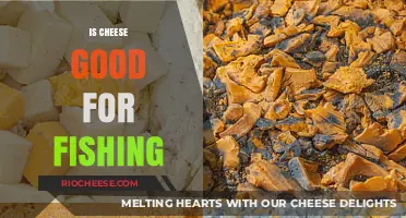 The Surprising Truth About Cheese as Fishing Bait