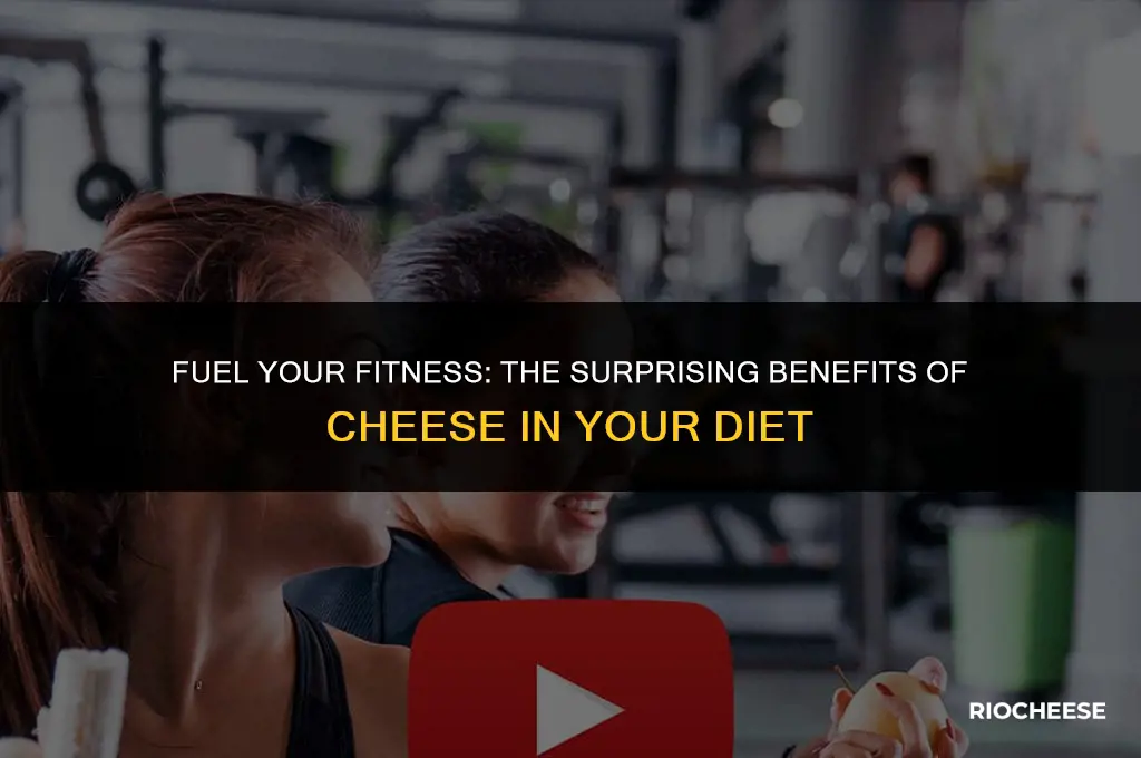 is cheese good for fitness