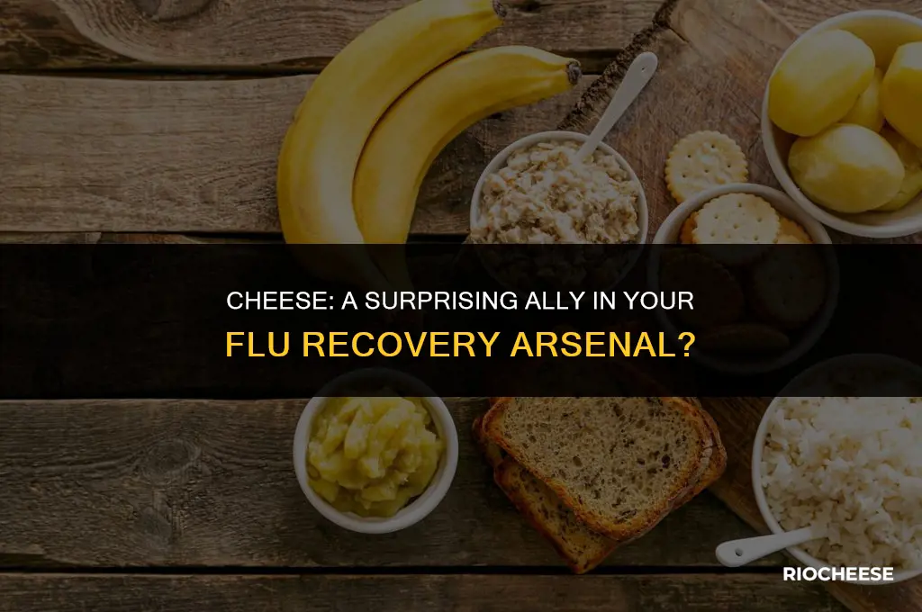is cheese good for flu