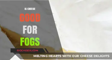 Clearing the Fog: The Surprising Truth About Cheese and Cognitive Health