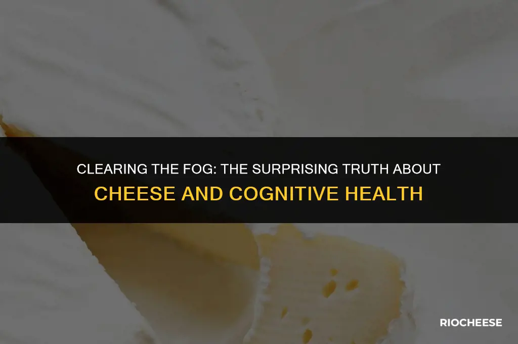 is cheese good for fogs