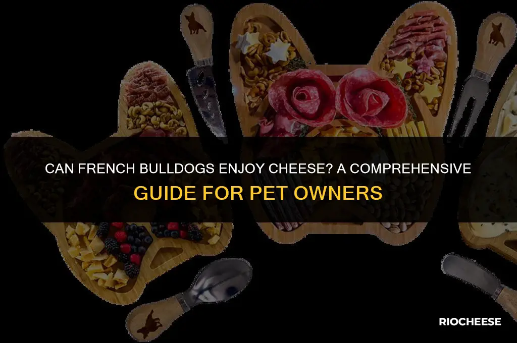 is cheese good for french bulldogs