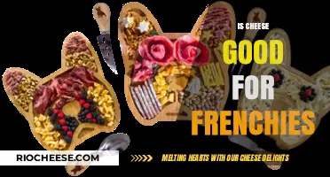 Is Cheese a Healthy Treat for French Bulldogs?