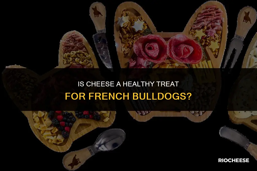 is cheese good for frenchies