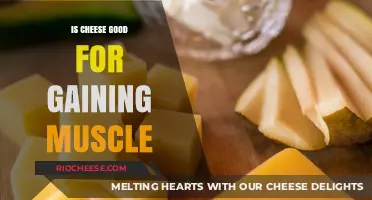 Dairy Delight or Dietary Dilemma: Cheese's Role in Muscle Gain