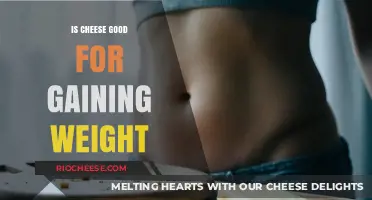Can Cheese Be Your Weight Gain Ally? A Nutritional Deep Dive