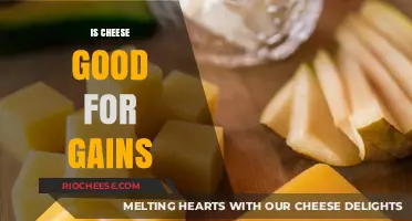 Fuel Your Fitness: The Surprising Truth About Cheese and Muscle Gains