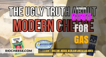 The Surprising Truth About Cheese and Gas: A Digestive Dilemma