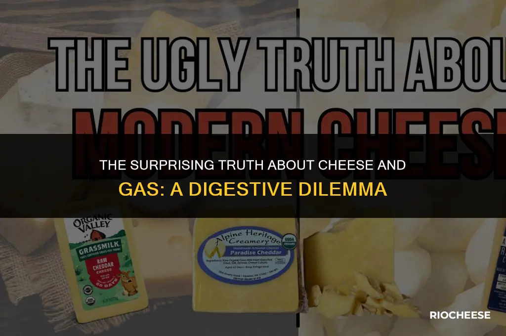 is cheese good for gas