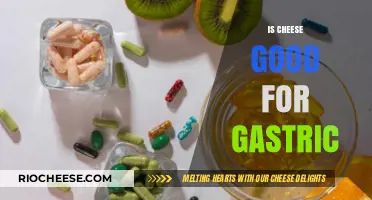 Exploring the Effects of Cheese on Gastric Health: A Nutritional Guide