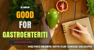 Exploring the Effects of Cheese on Gastroenteritis: A Comprehensive Guide