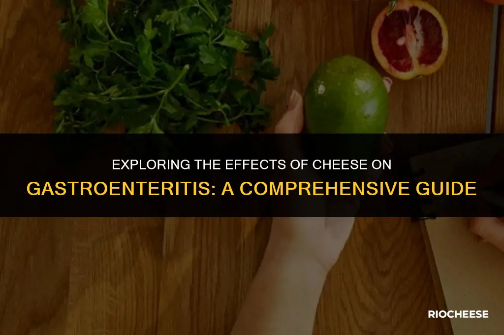 is cheese good for gastroenteritis