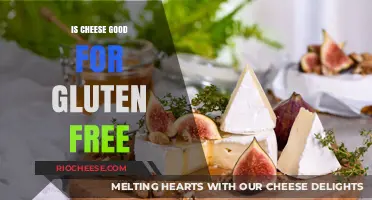 Exploring Dairy Delights: Is Cheese a Gluten-Free Haven?