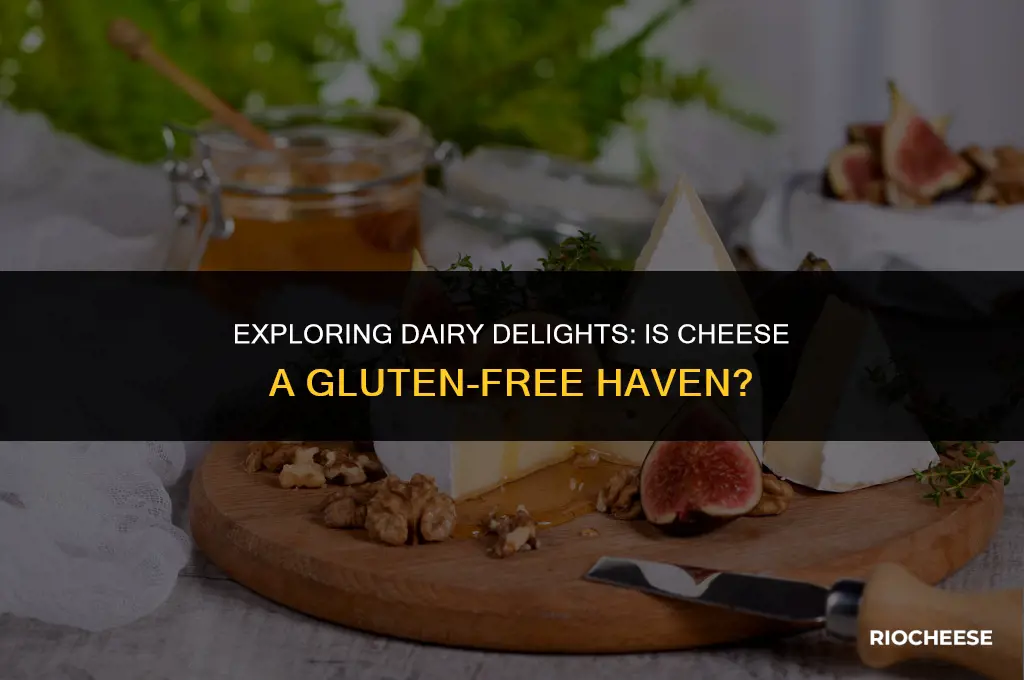 is cheese good for gluten free