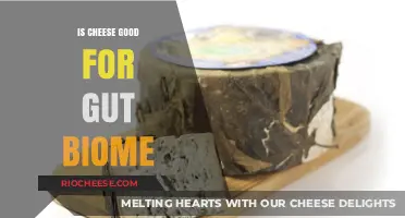 Unraveling the Mystery: Cheese's Impact on Gut Health Explored