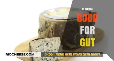 Unraveling the Gut-Friendly Mysteries of Cheese: A Tasty Exploration