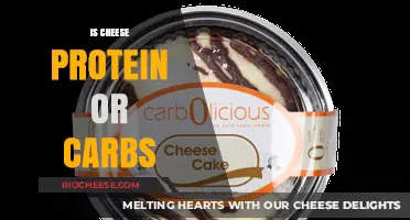 The Nutritional Debate: Is Cheese a Protein or Carb?