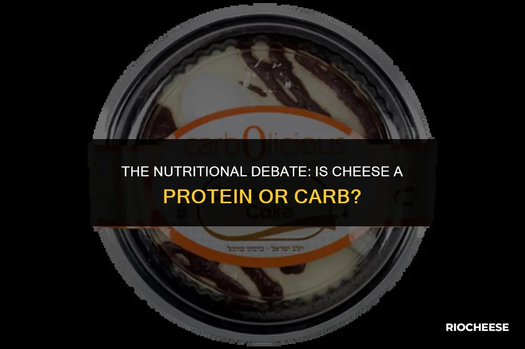 is cheese protein or carbs