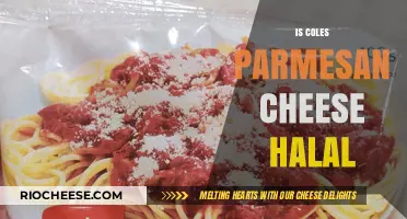 Exploring the Halal Status of Coles Parmesan Cheese