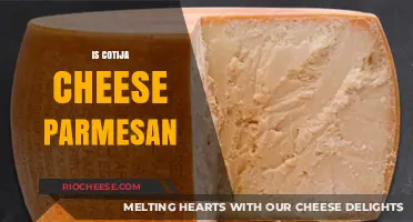 Exploring the Flavor Profile: Cotija vs. Parmesan Cheese