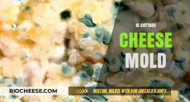 The Truth About Cottage Cheese Mold: Safe or Unsafe?
