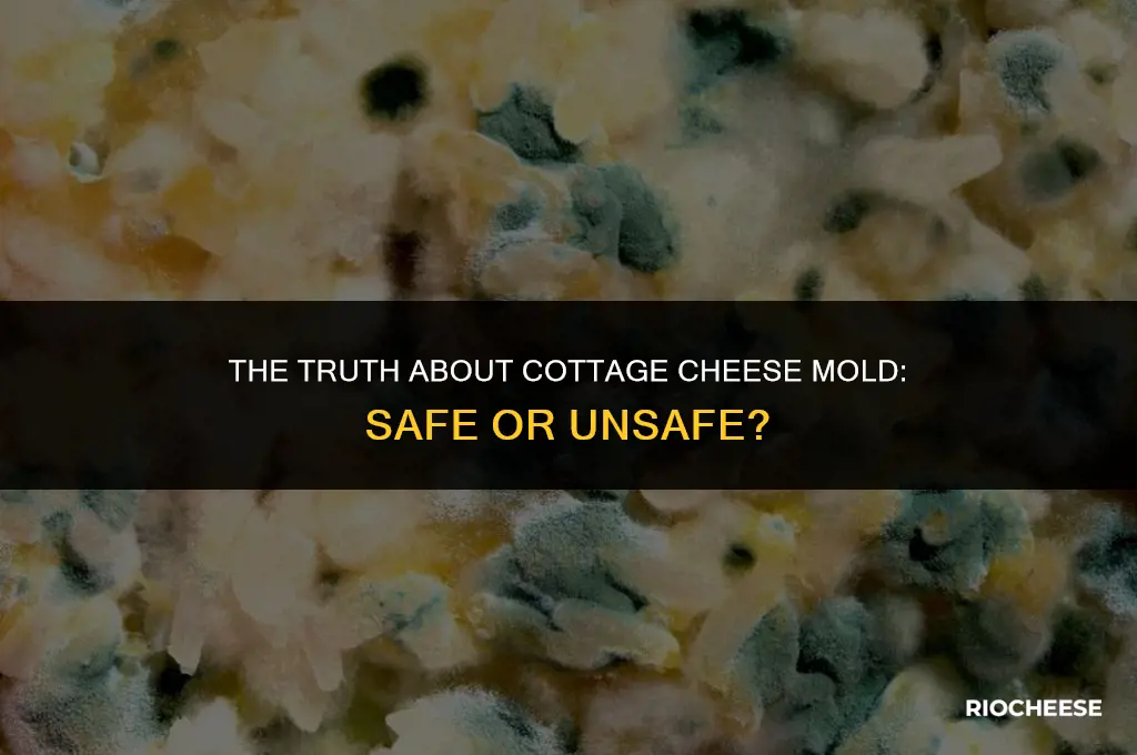 is cottage cheese mold