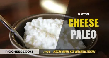 Exploring the Paleo Diet: Is Cottage Cheese a Suitable Choice?