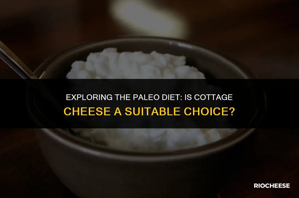 is cottage cheese paleo