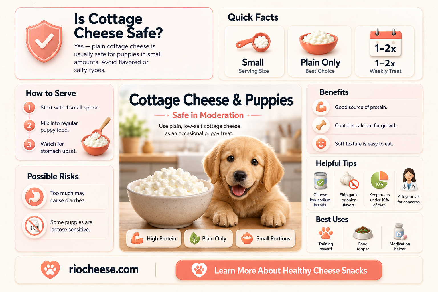 can you feed puppies cottage cheese