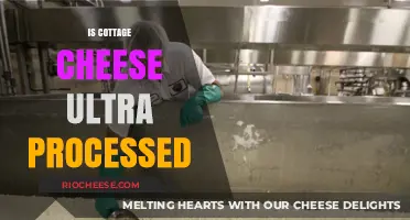 Unraveling the Truth: Is Cottage Cheese Ultra-Processed?