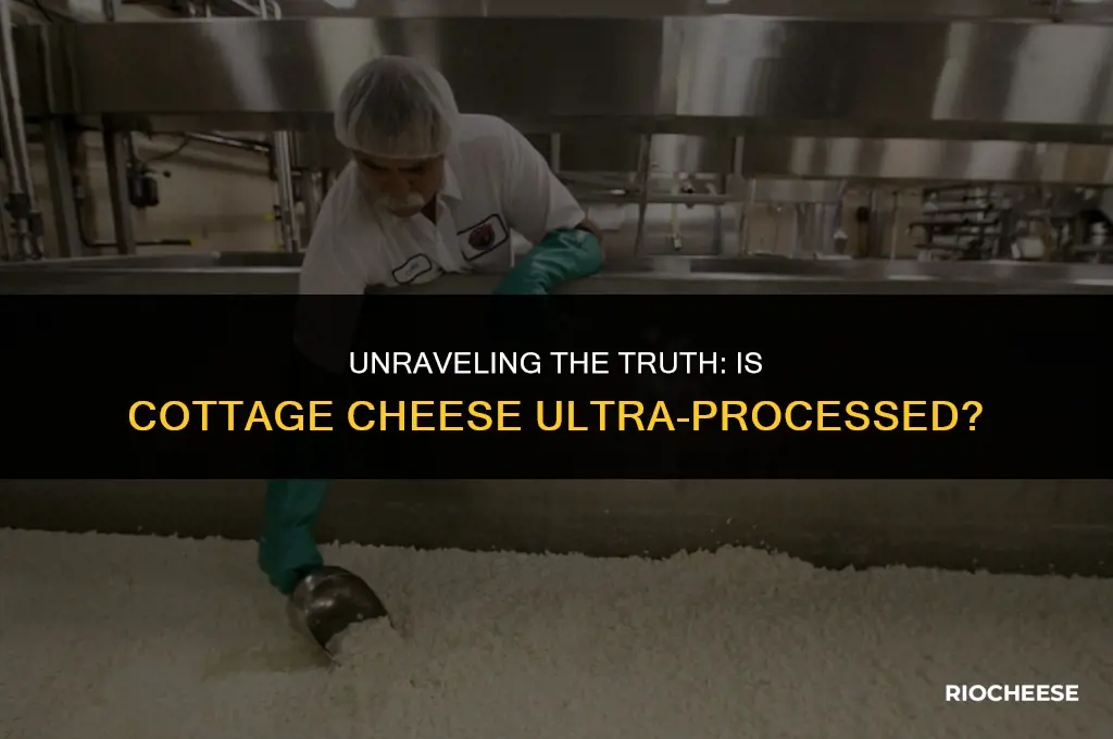 is cottage cheese ultra processed