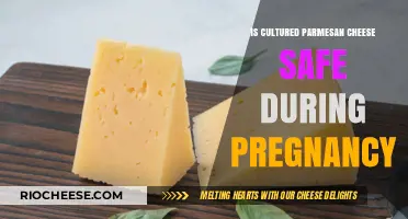 Pregnancy and Parmesan: A Guide to Safe Cheese Consumption