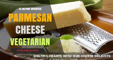 Exploring Enzyme-Modified Parmesan: A Vegetarian's Guide to Cheese