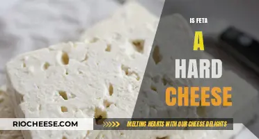 Exploring the Texture: Is Feta a Hard Cheese?